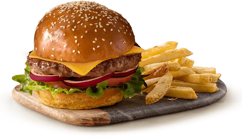 Gourmet cheese burger with crispy fries