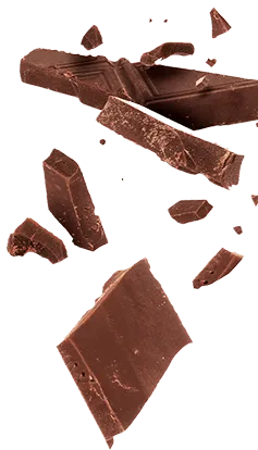 chocolate pieces