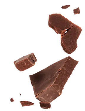 chocolate pieces