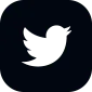 Twitter Icon