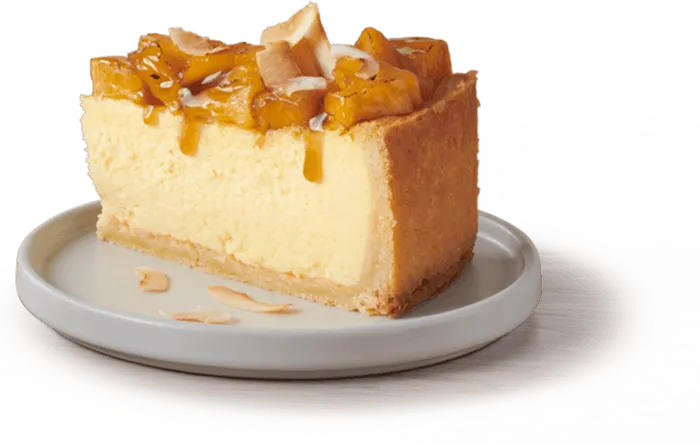 cheesecake with fruit pieces