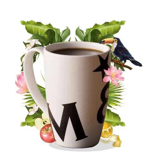 Brazil Blend