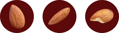 House Blend Beans